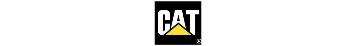 catterpilar